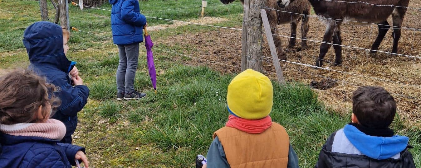 Chablis with Children. The countryside around Chablis is full of quiet adventures for families, donkeys to visit, castles to explore, and ca...