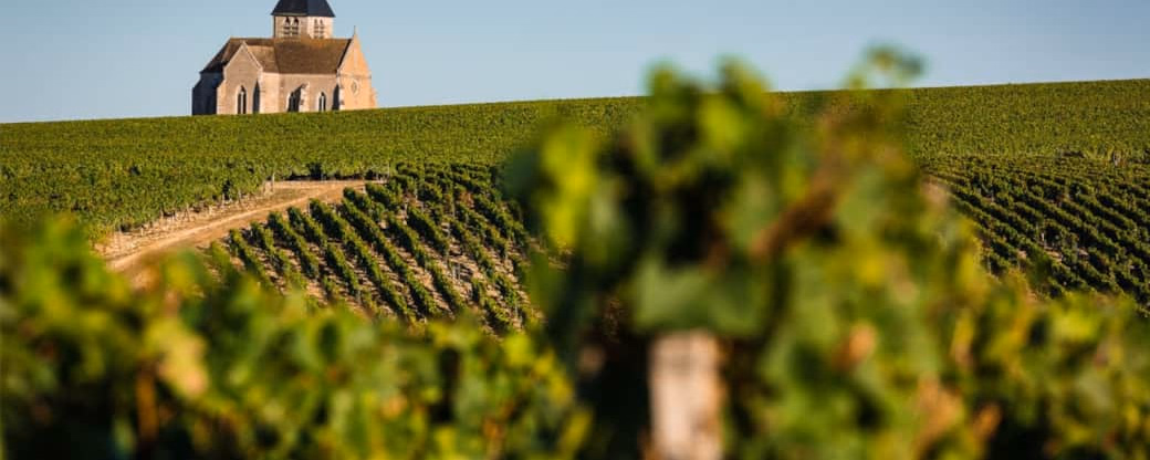 Chablis Wine Tours. [Chablis Vititours](https://www.vititours.fr/) organizes unique and captivating guided tours in the heart of the Chab...