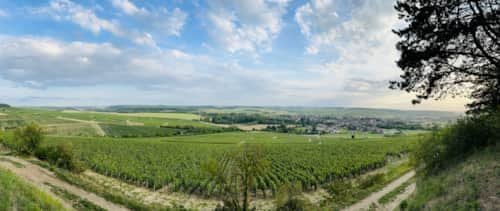 exploring-chablis-burgundy