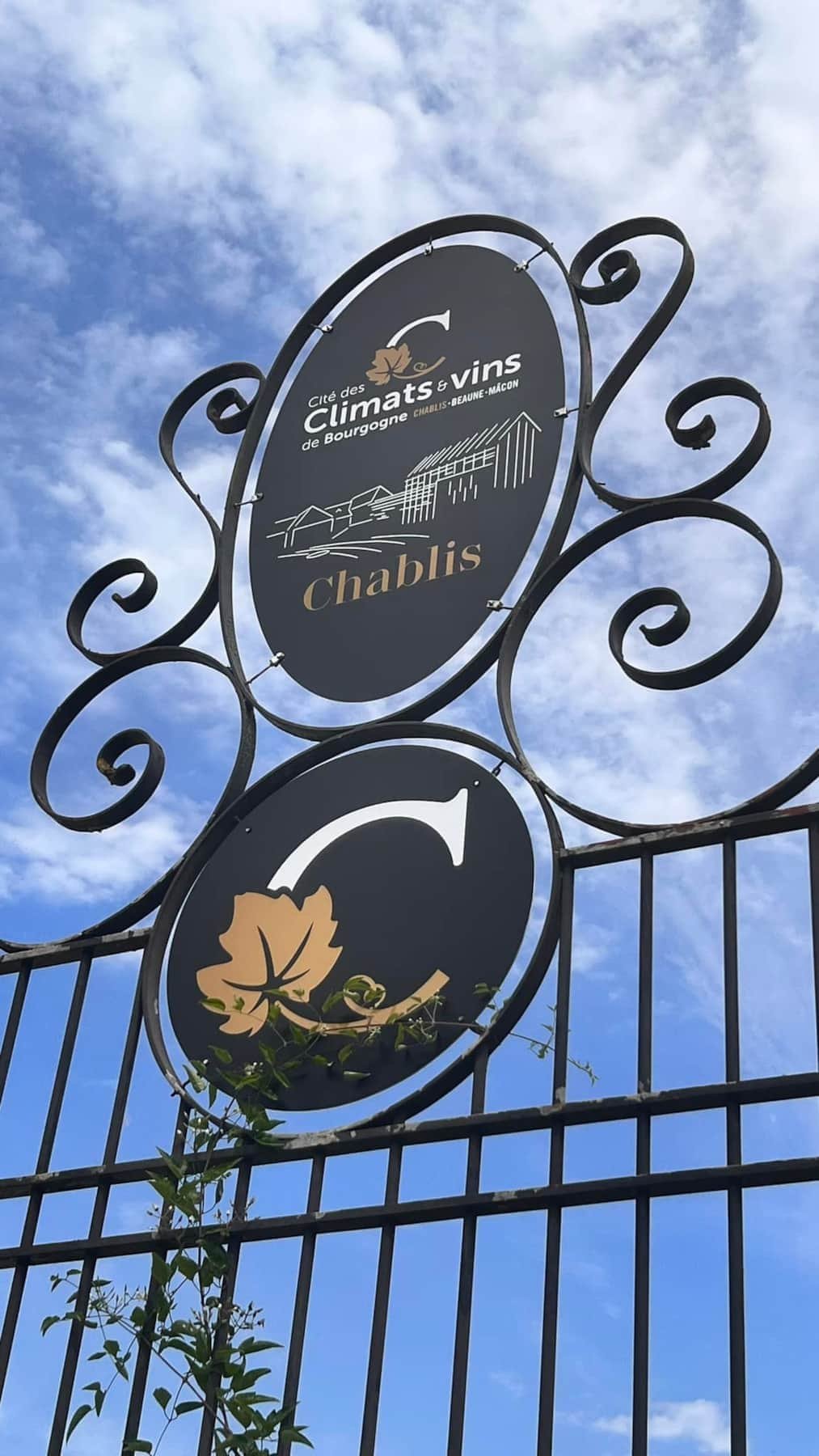 rainy-day-chablis