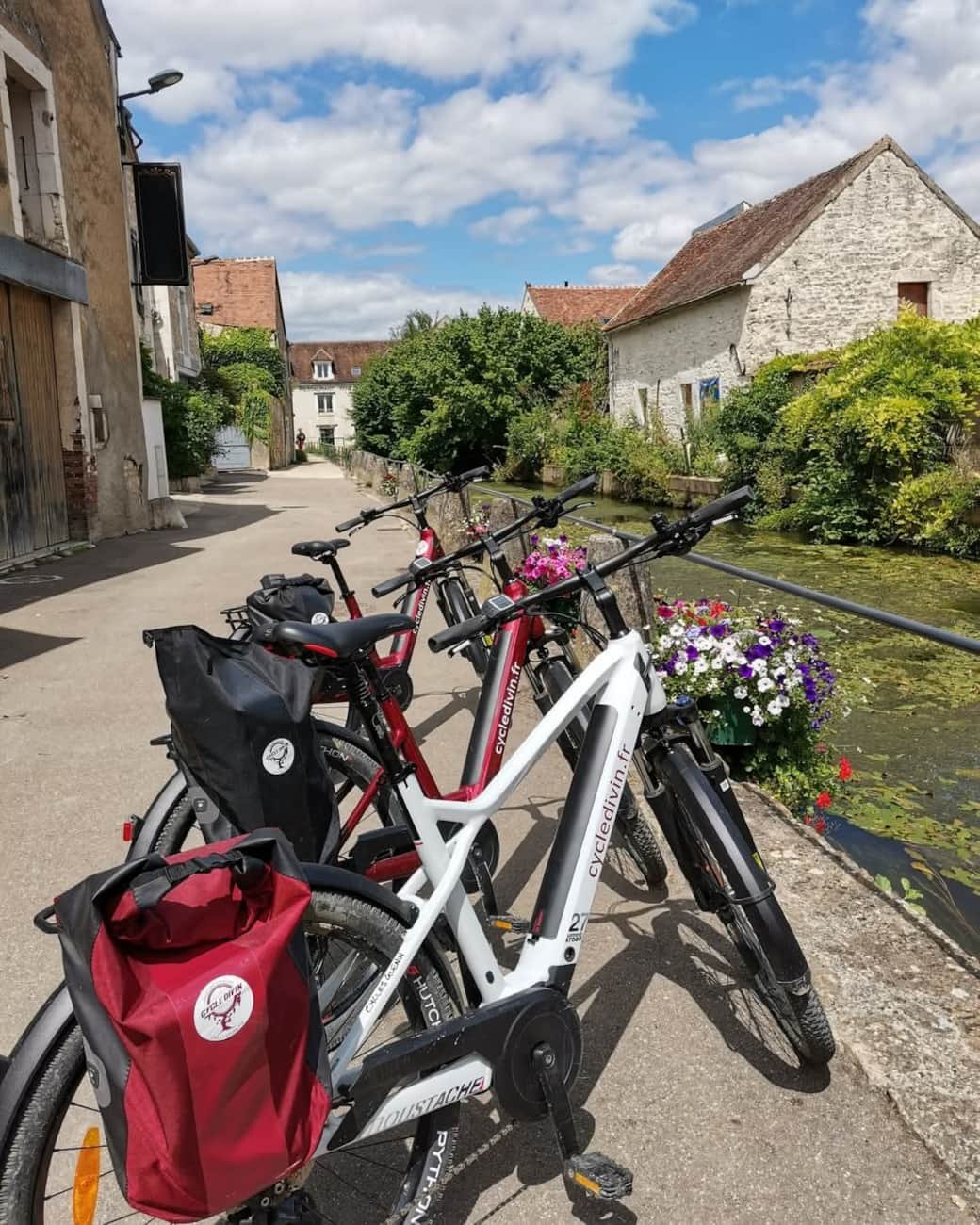 wine-tours