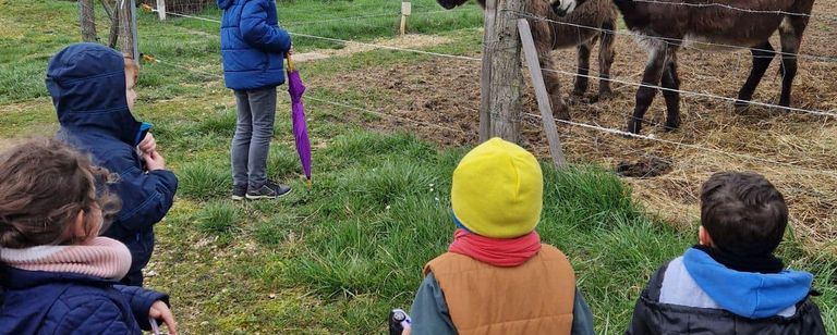 Chablis with Children. The countryside around Chablis is full of quiet adventures for families, donkeys to visit, castles to explore, and ca...
